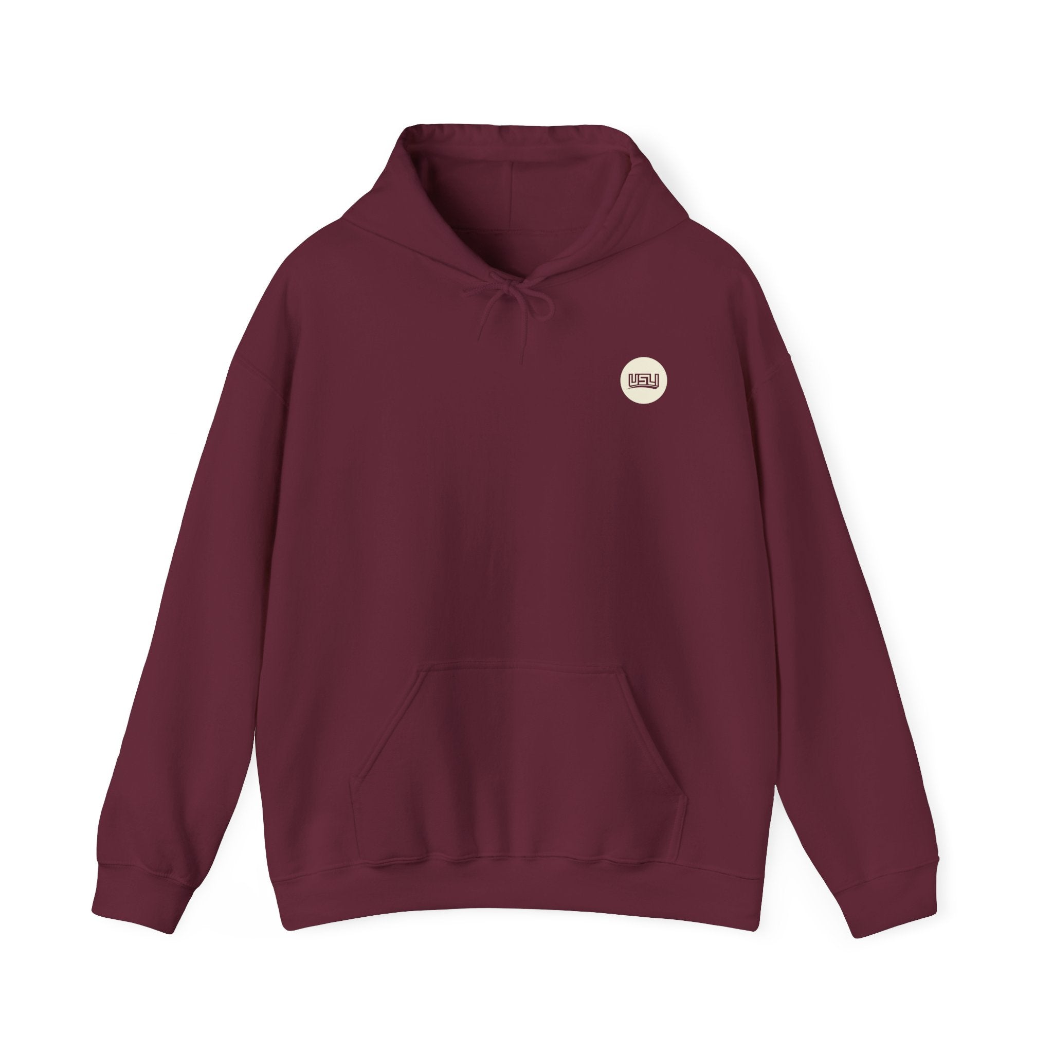 Austin - Unisex Heavy Blend™ Hooded Sweatshirt