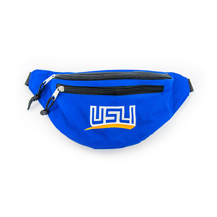 Fanny Pack Crossbody Bag