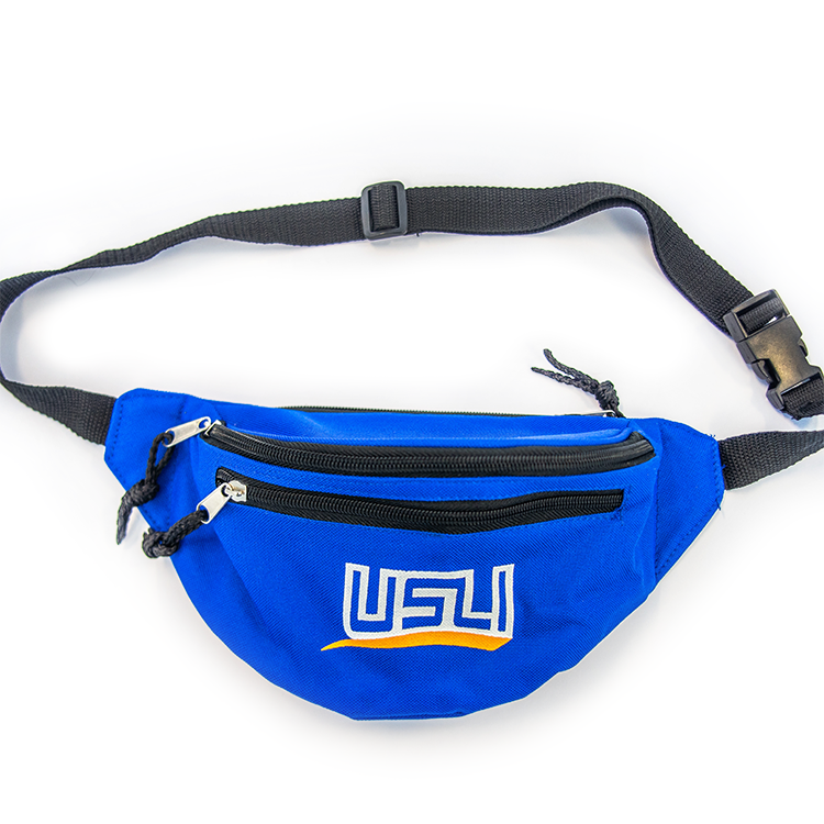 Fanny Pack Crossbody Bag