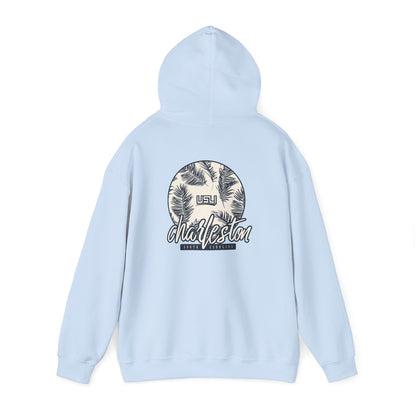 Charleston - Unisex Heavy Blend™ Hooded Sweatshirt