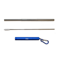 Collapsible Stainless Steel Straw Kit