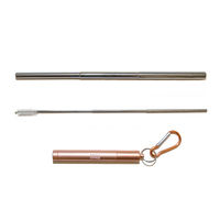 Collapsible Stainless Steel Straw Kit