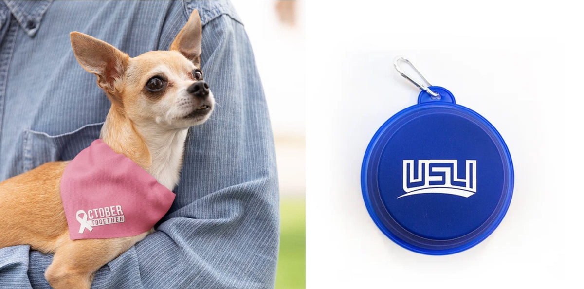 October Together Pet Bandana + Collapsible Water Bowl