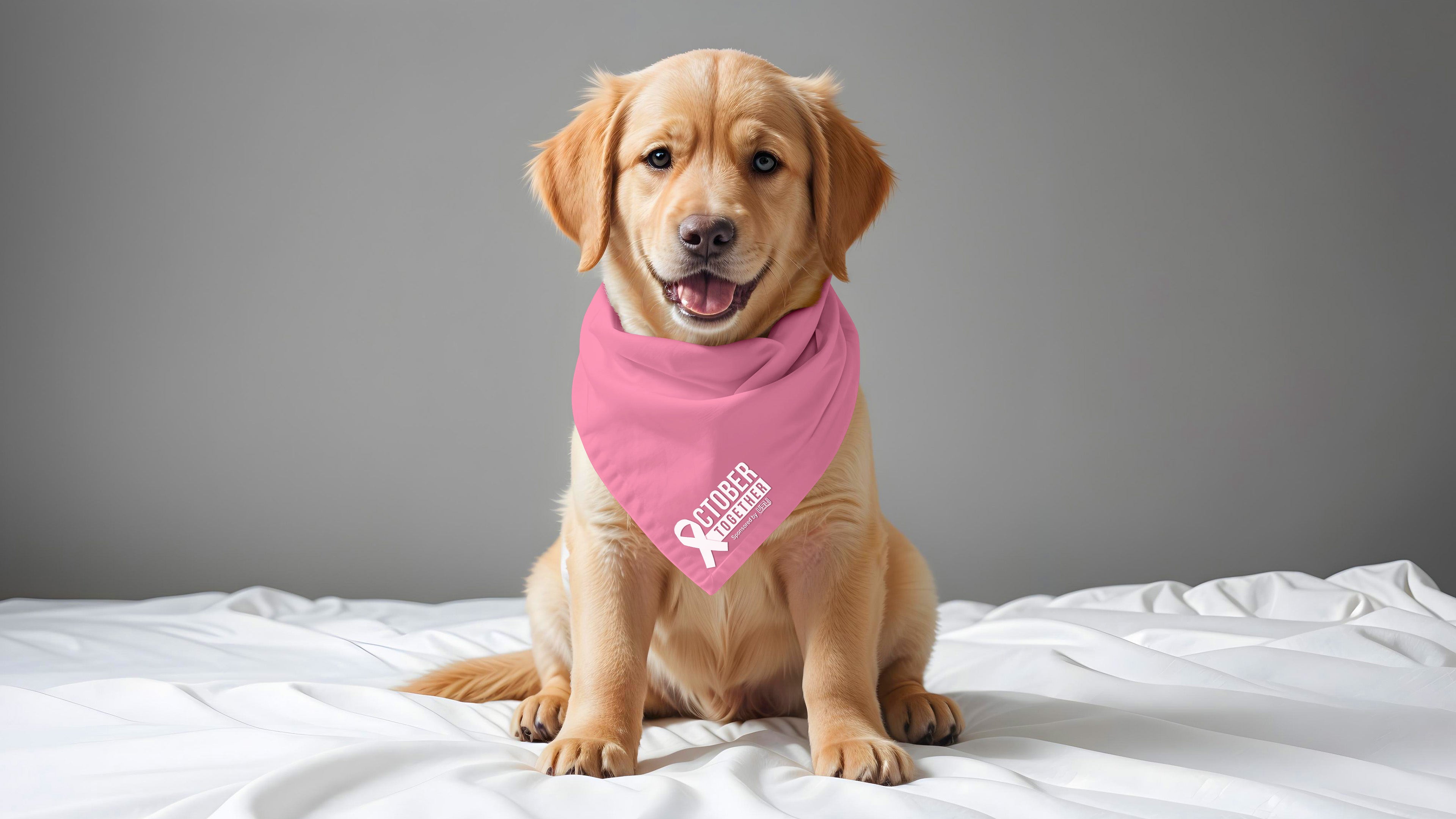 October Together Pet Bandanas