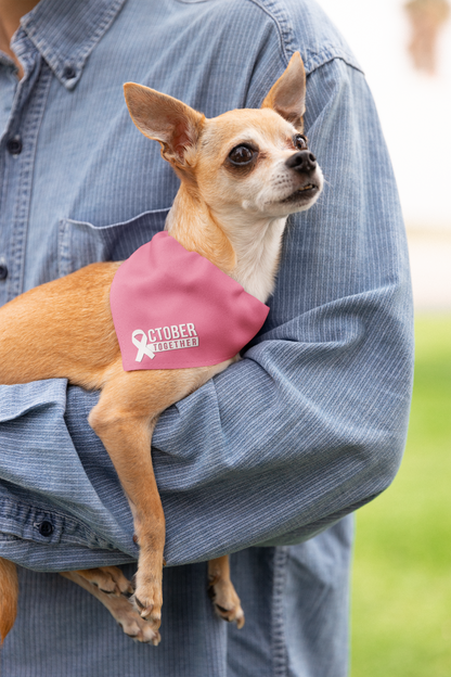 October Together Pet Bandanas