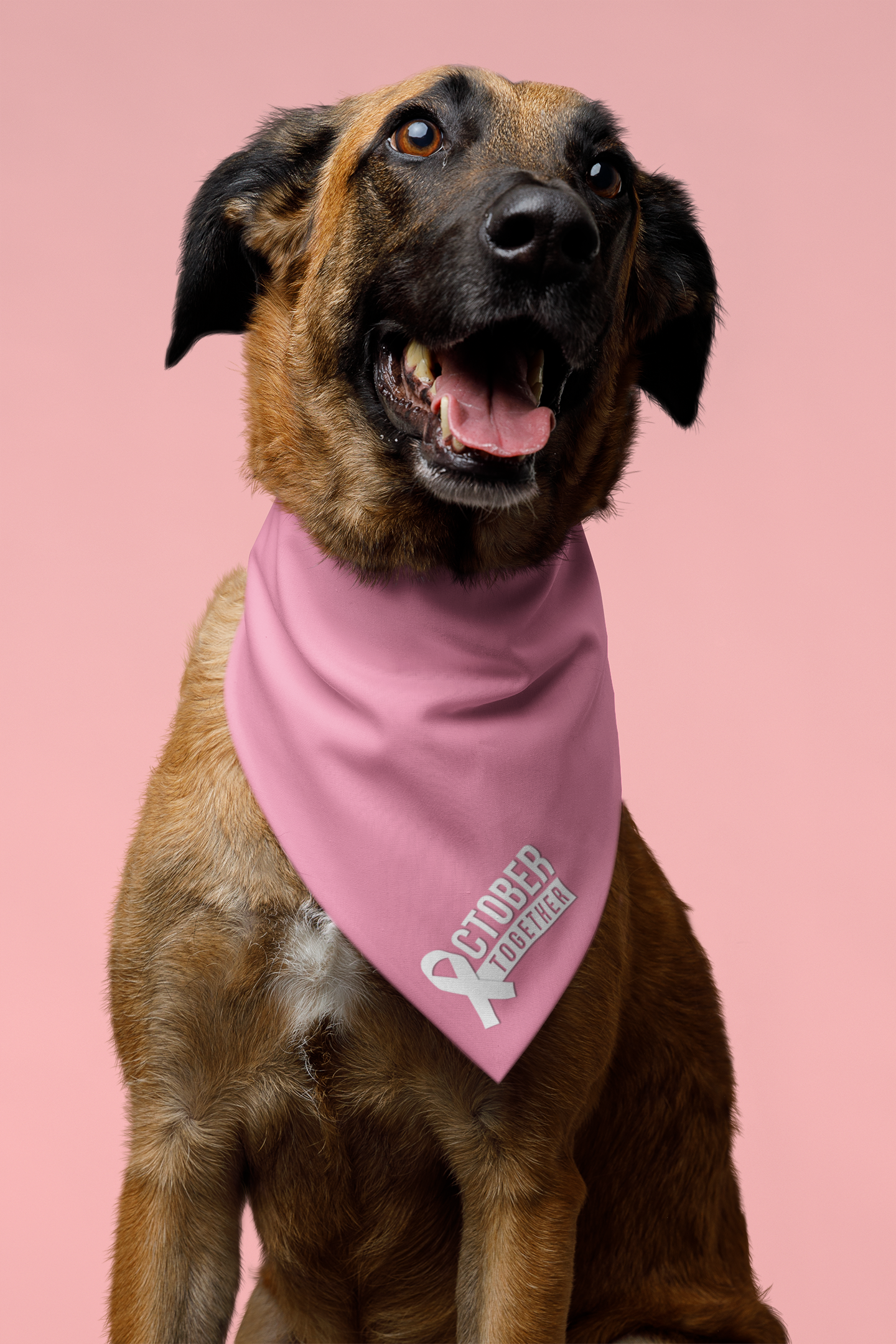 October Together Pet Bandanas