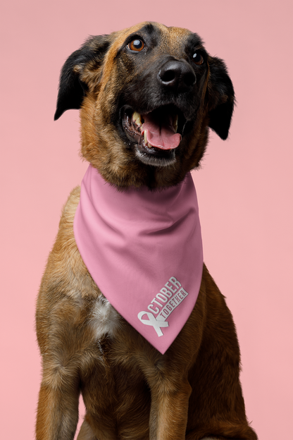 October Together Pet Bandanas