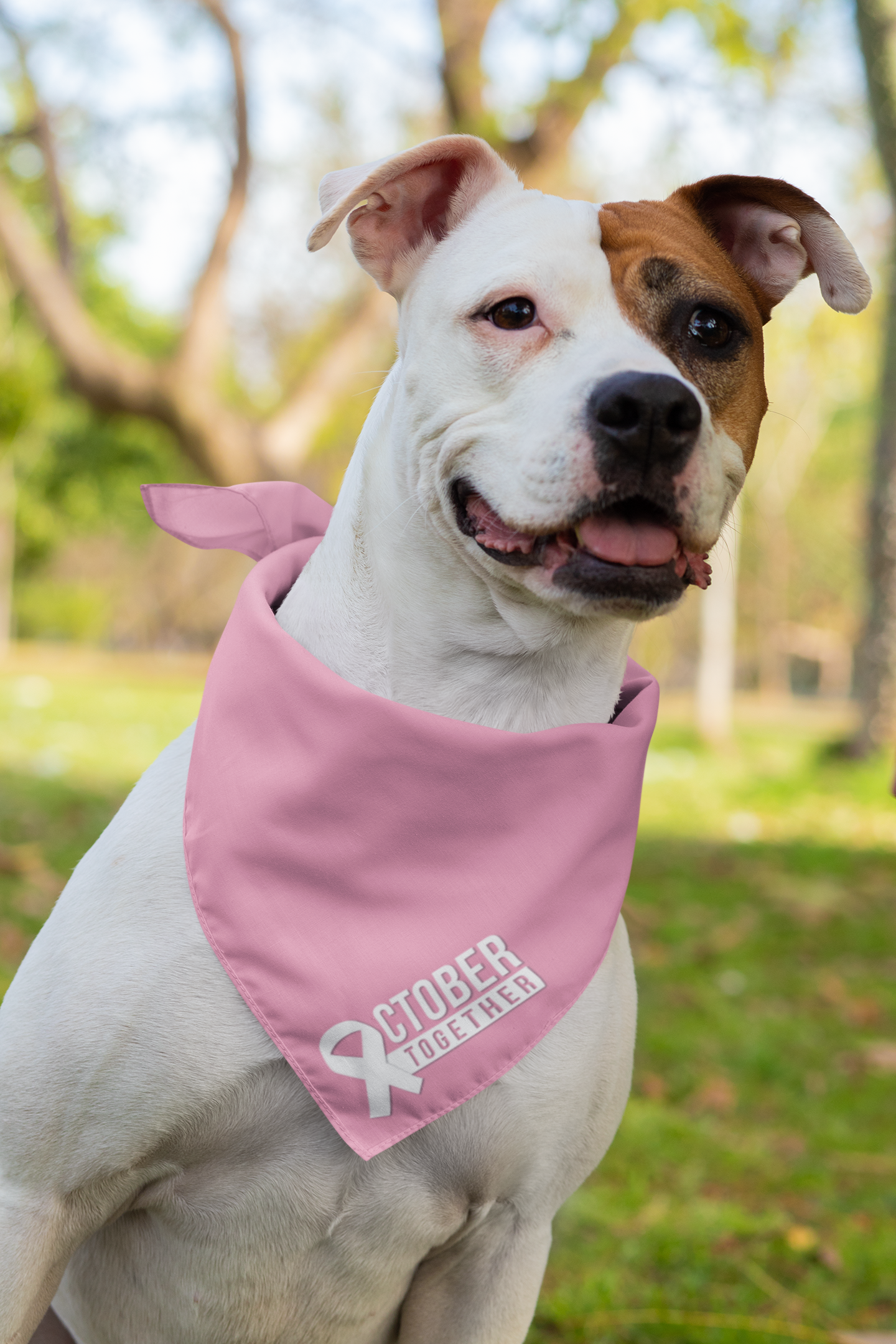 October Together Pet Bandanas