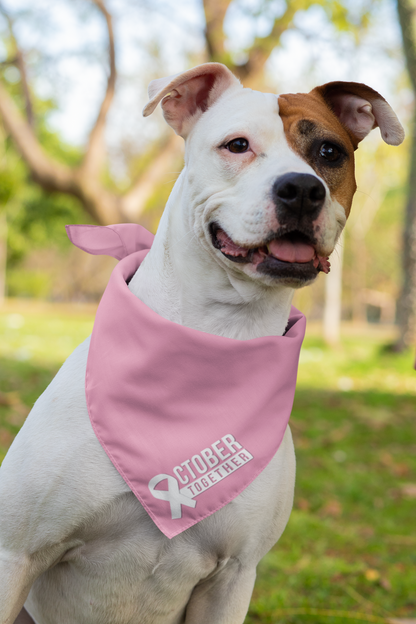 October Together Pet Bandanas