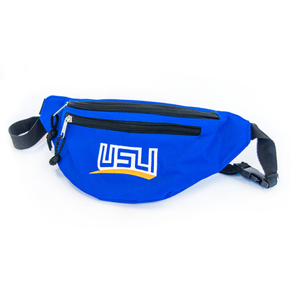 Fanny Pack Crossbody Bag
